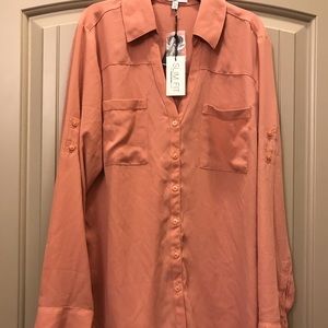 Slim fit portfolio express button down